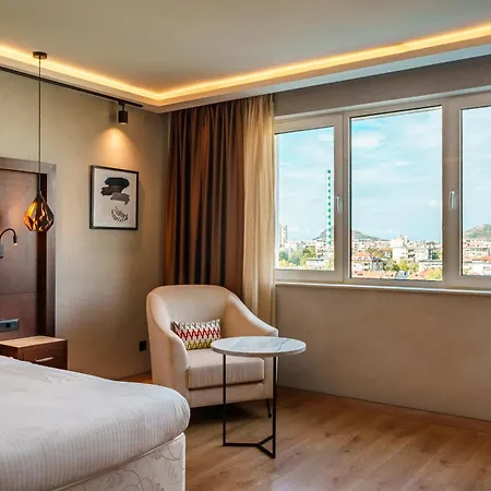 Radisson فندق