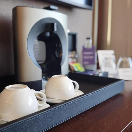 فندق Radisson بلوفديف